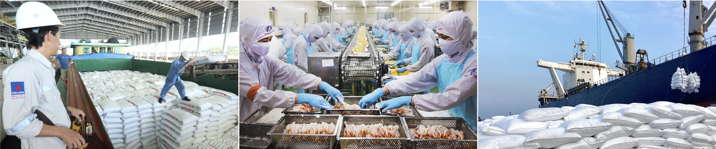 Cà Mau: Những nỗ lực nâng cao hiệu quả thực thi và tận dụng các FTA